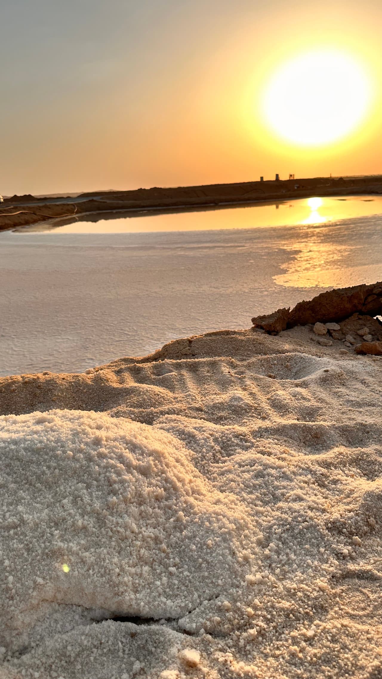 الرياض: رحلة القصب مدينة الذهب الأبيض
